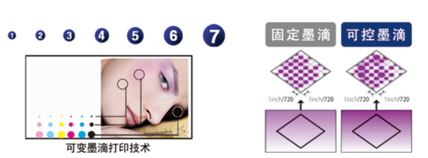 圖像更細膩 圖像更細膩